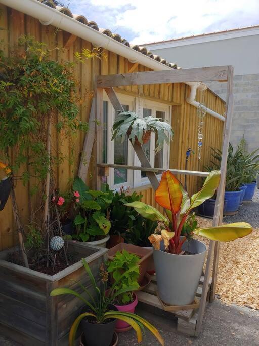 Studio Cocooning Le Porge Esterno foto